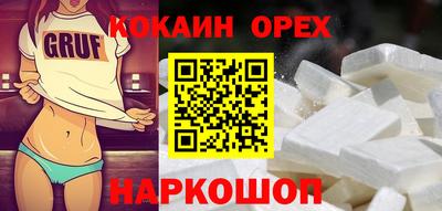 молекула духа Камышлов