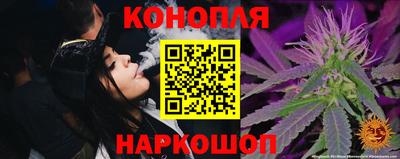 молекула духа Камышлов