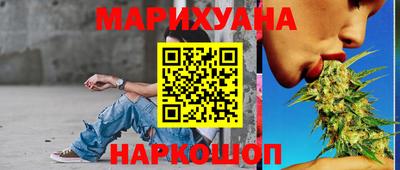 молекула духа Камышлов