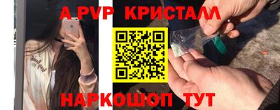 молекула духа Камышлов