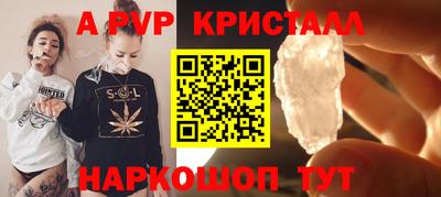 молекула духа Камышлов
