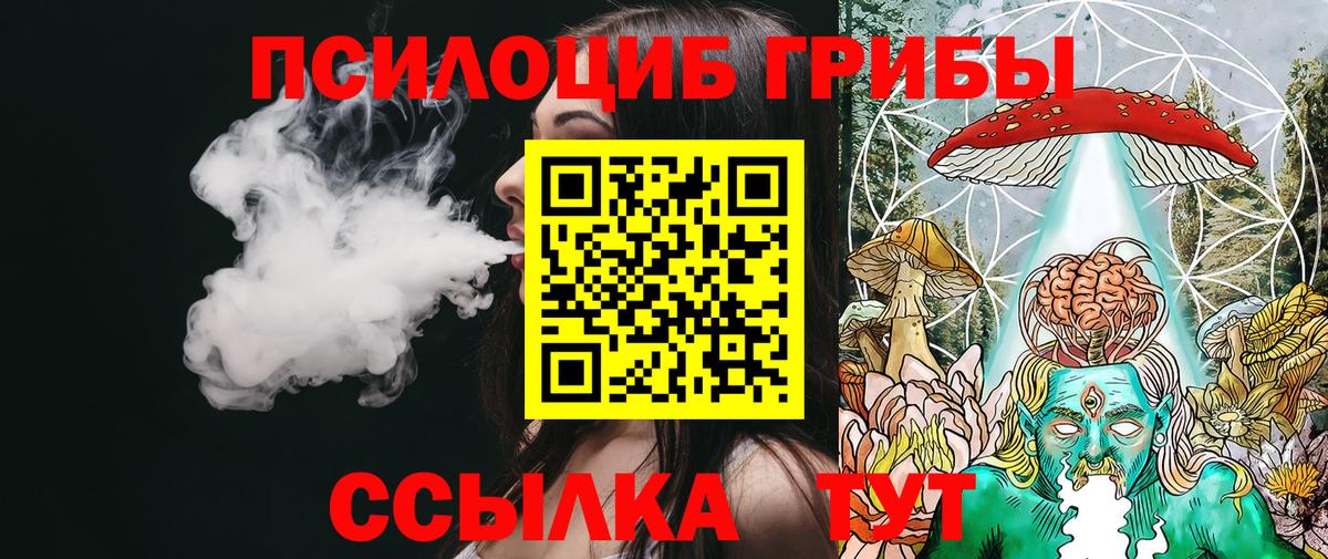 Татарск  Псилоцибиновые грибы ЛСД  Вход с VPN  Псилоцибиновые грибы Magic Shrooms 